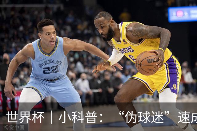 世界杯｜小科普：“伪球迷”速成手册